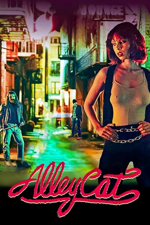 Alley Cat Cô Nàng Mèo Hoang