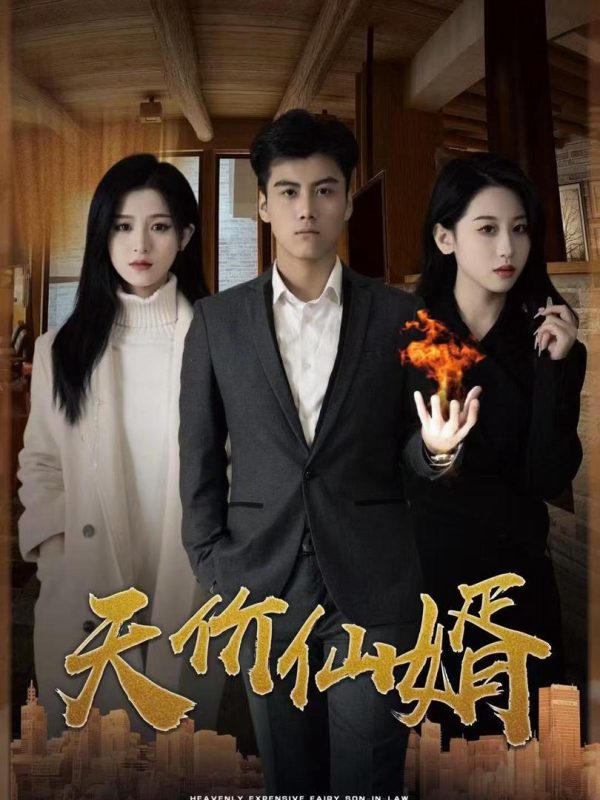 Chàng Rể Thiên Kim 天价仙婿