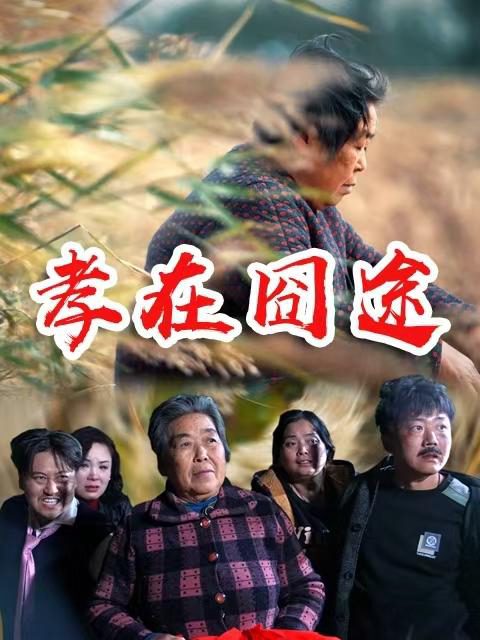 Hành Trình Hiếu Thảo 孝在囧途