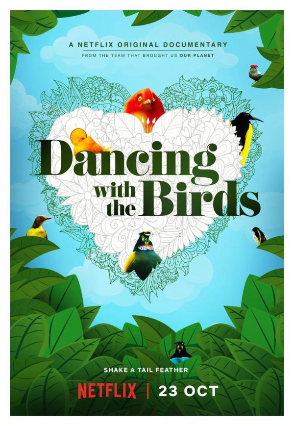 Vũ điệu của loài chim Dancing with the Birds
