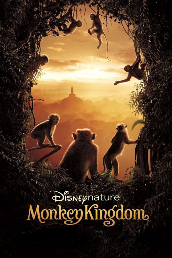 Vương Quốc Loài Khỉ Monkey Kingdom