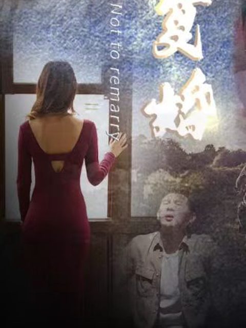 Luật Sư Hàng Đầu (Tên Gốc: Không Tái Hôn, Vợ Cũ Cút Đi) 金牌律师