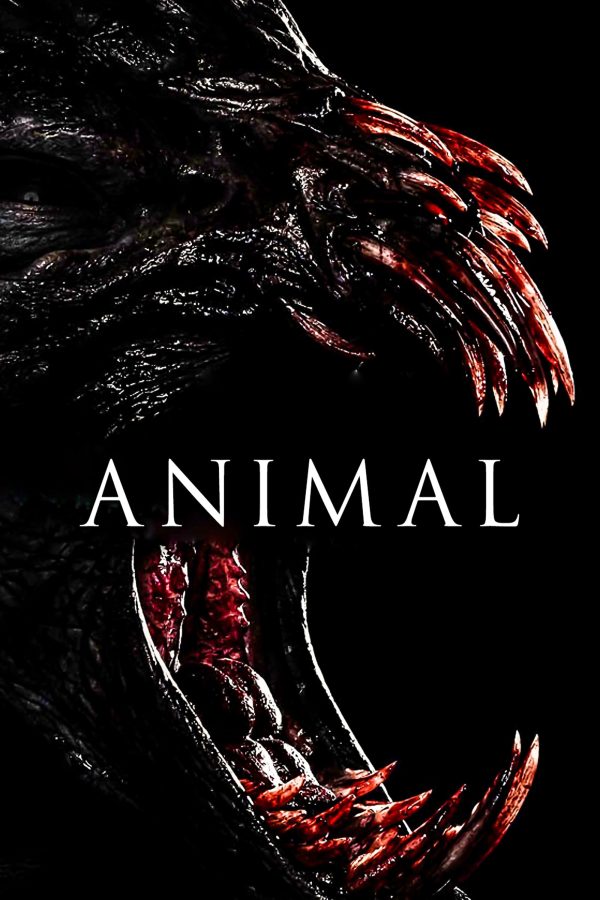 Animal Animal