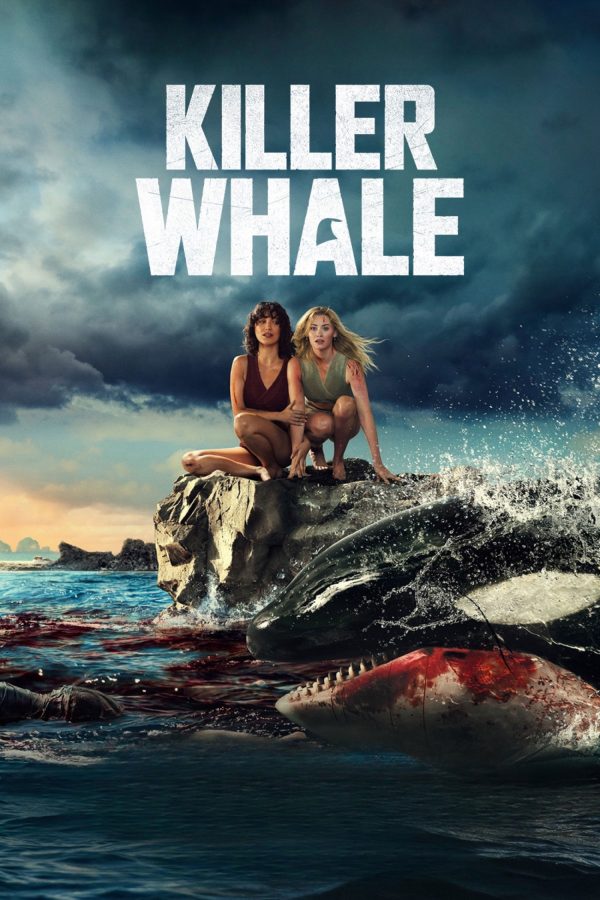 Cá Voi Sát Thủ Killer Whale