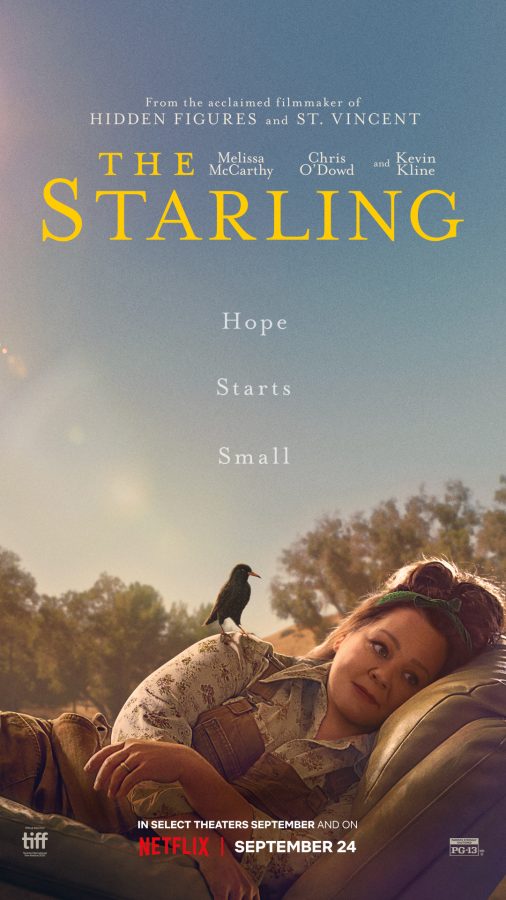 Chim Sáo The Starling