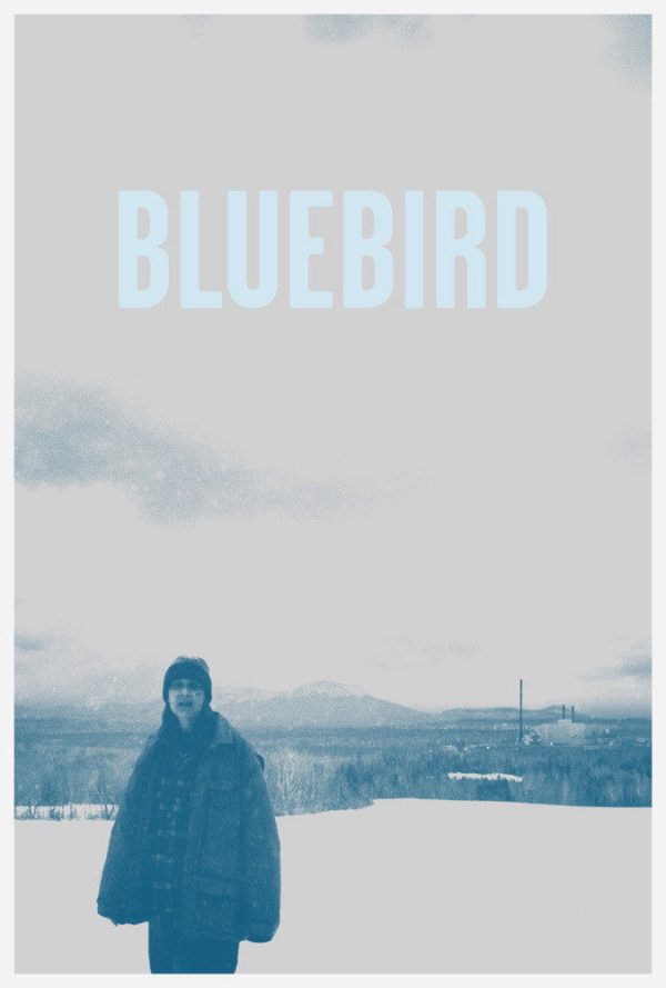 Chim Xanh Bluebird