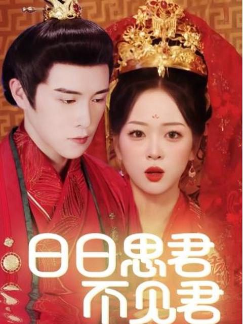 Nhớ Em Mỗi Ngày 日日思君不见君